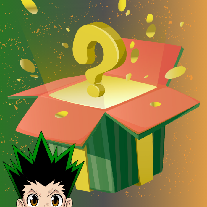 Hunter Hunter Mystery Box