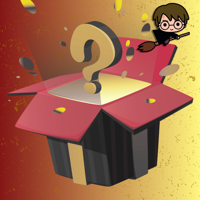 Harry Potter Mystery Box
