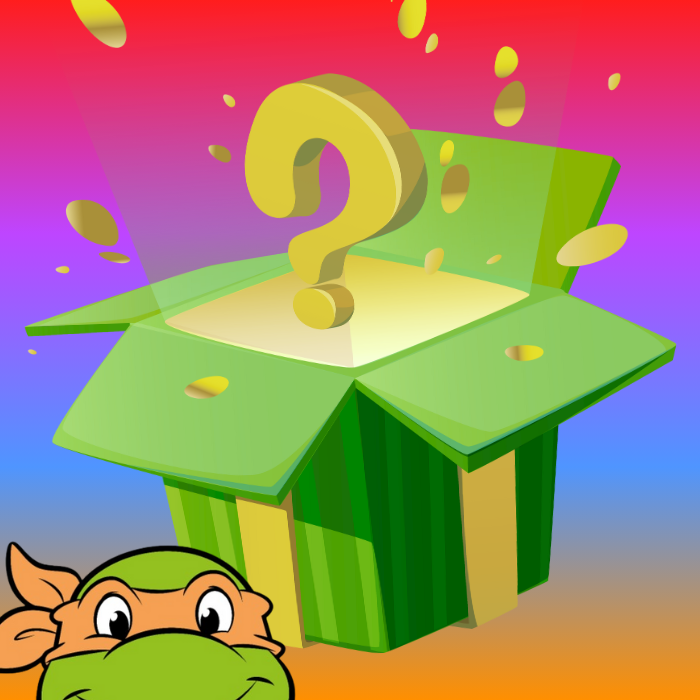 Ninja Turtles Mystery Box
