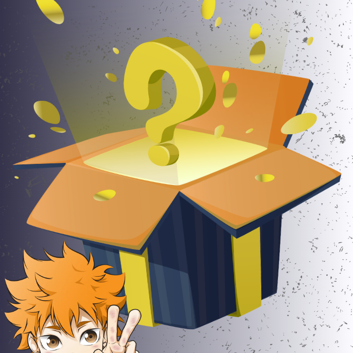 Haikyu Mystery Box