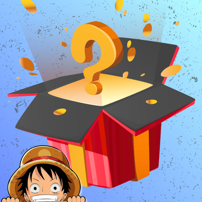 One Piece Mystery Box
