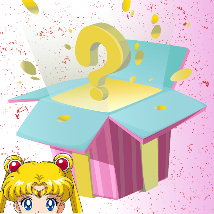 Sailor Moon Mystery Box