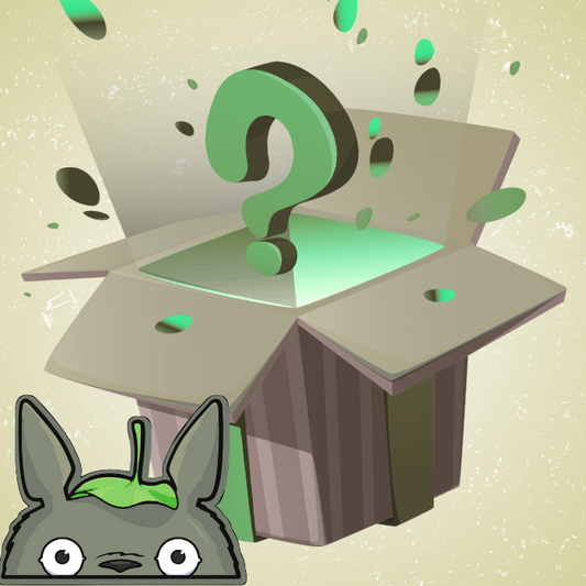 Totoro Mystery Box