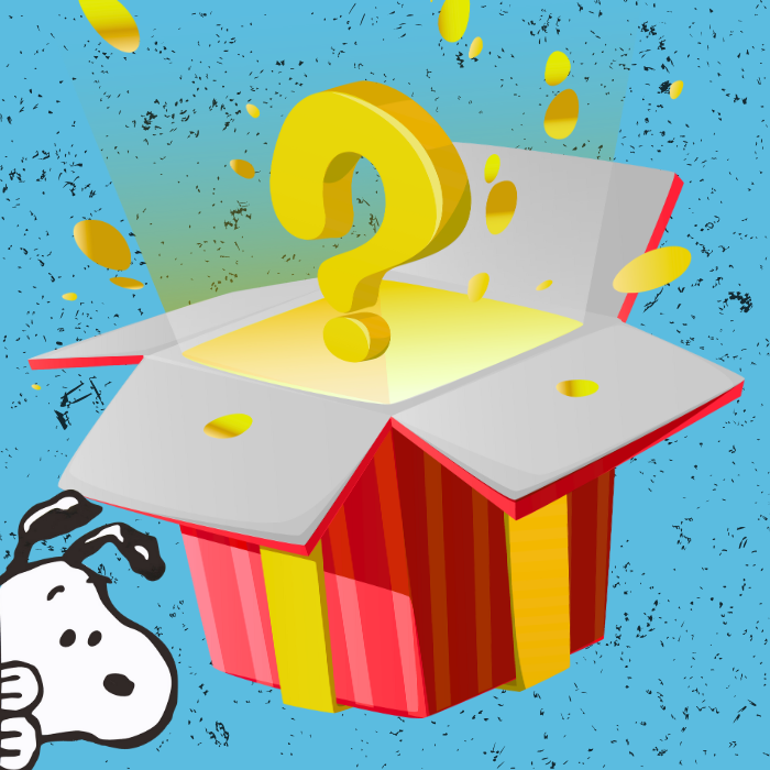 Snoopy Mystery Box