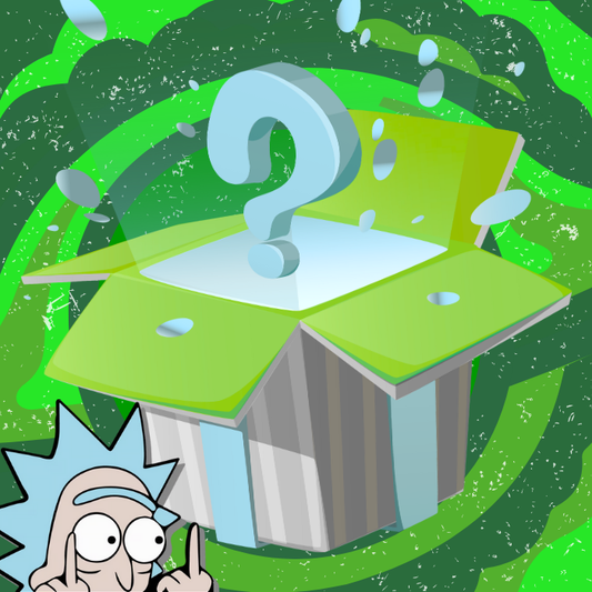 Rick and Morty Mystery Box